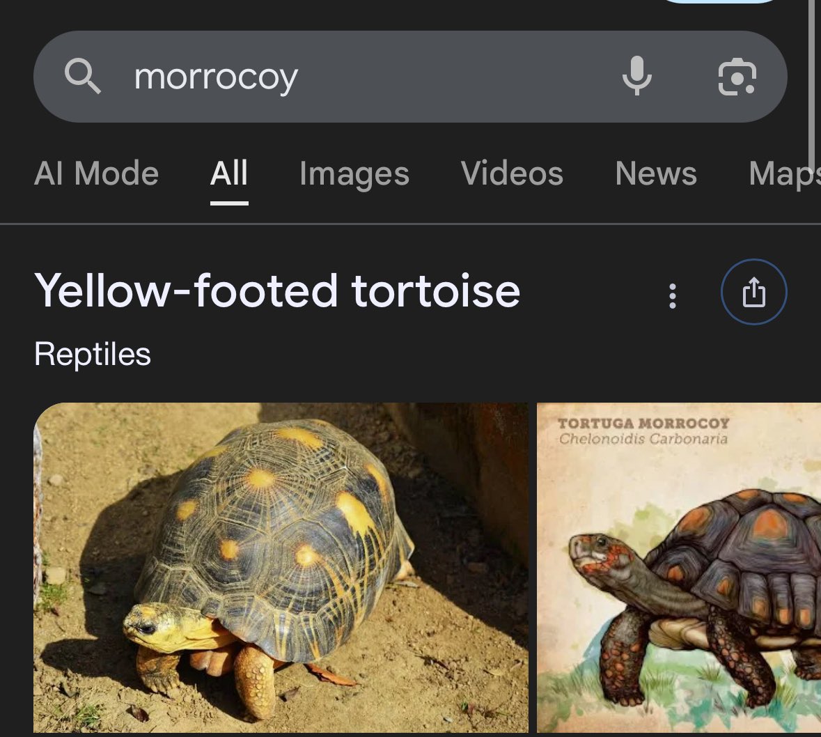 Alvaro Pez de la burra AU CHAUNIETO tweet media