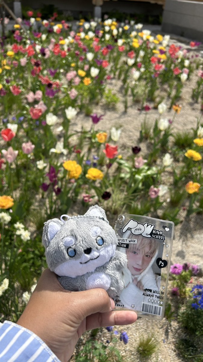 khanaphoto's tweet photo. Tulip in bukchon hannok

#DONGYEON #동연 
#푸파워 #POWERNOW 🇰🇷🇰🇷 https://t.co/EXqmvBtKR1