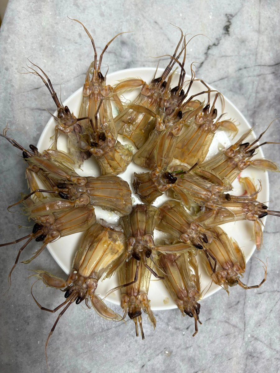 湾区搜游记 tweet media