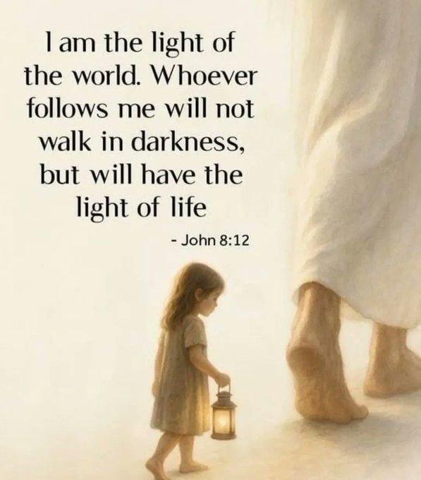 ELeven Seven tweet media