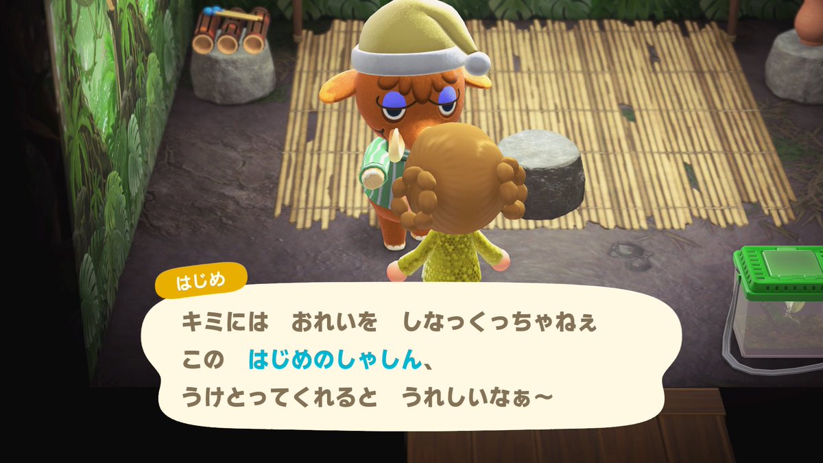 まなこ🦷 tweet media
