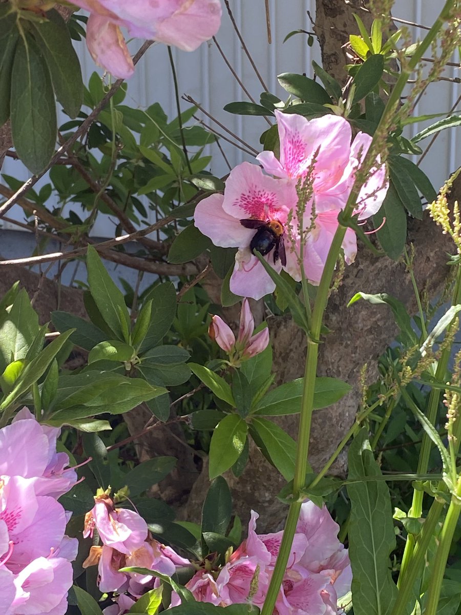 ๐ต๐ด๐ถ tweet media