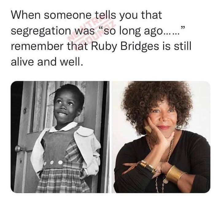 Preston Education 💎🦉📚💻 tweet media