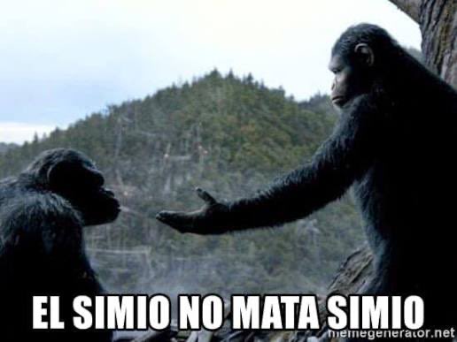 Mauricio tweet media