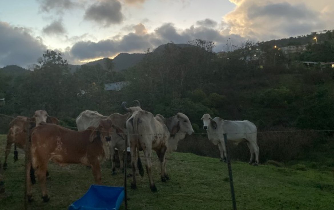 Esto fue horita hablando con el corillo…😎