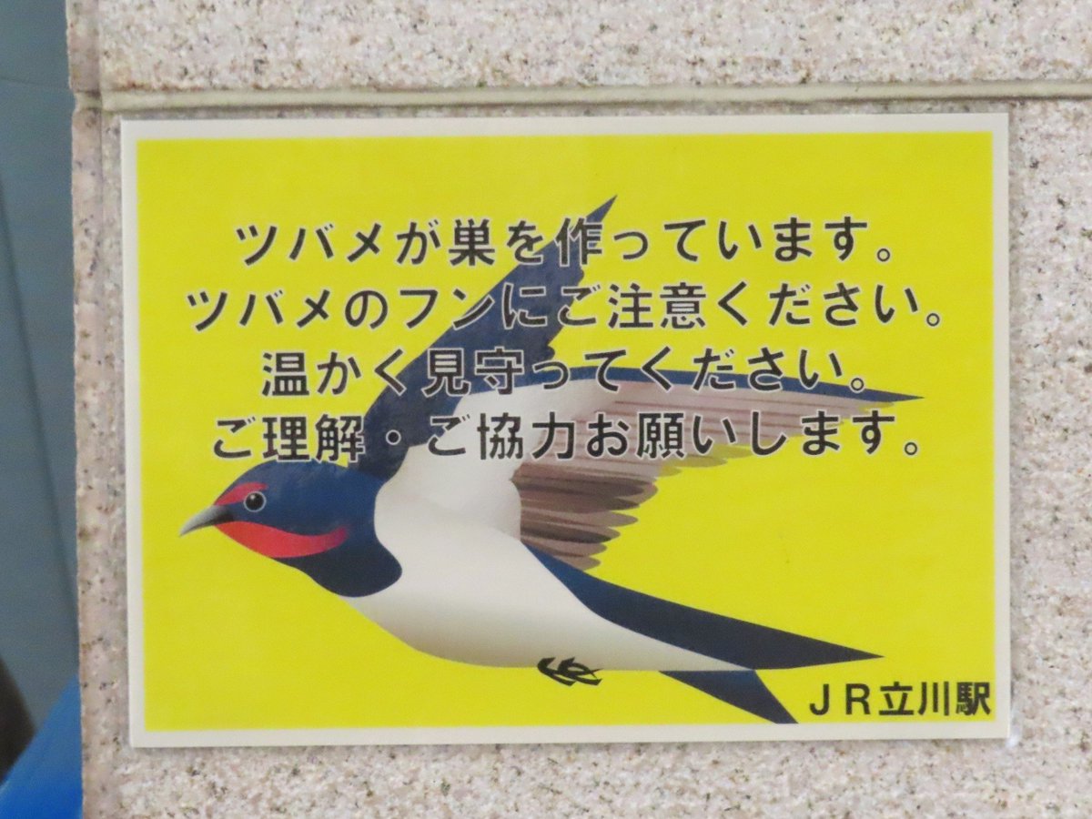 まみ🎶 低浮上になりがち tweet media