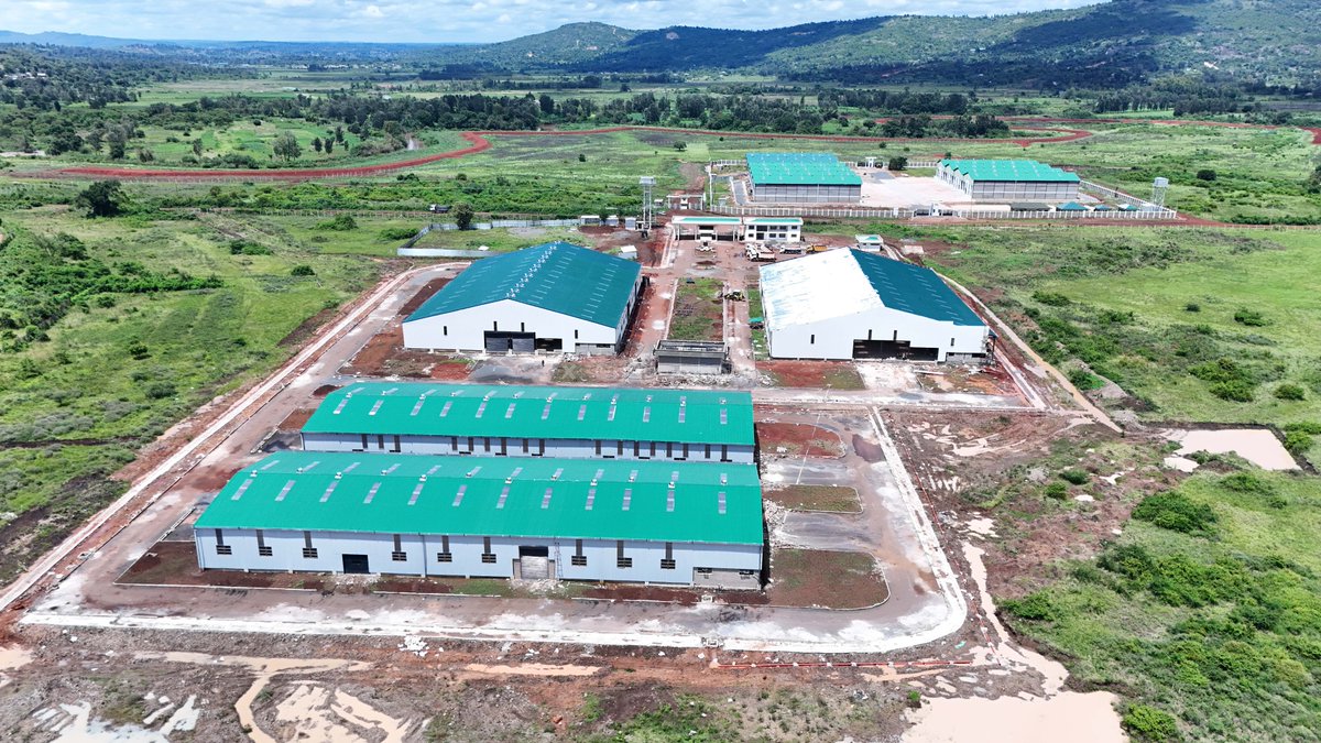 Dr. Raymond Omollo — CBS tweet media