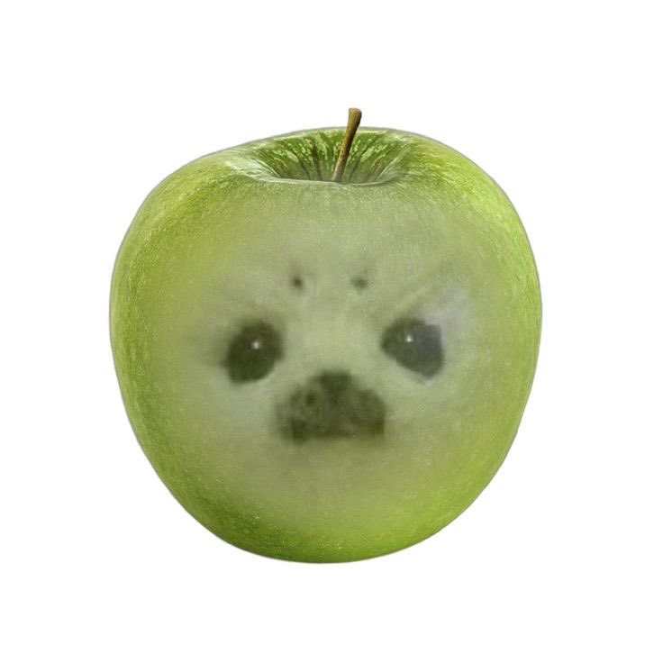 juliii ఇ ENHYPEN IS SEVEN tweet media