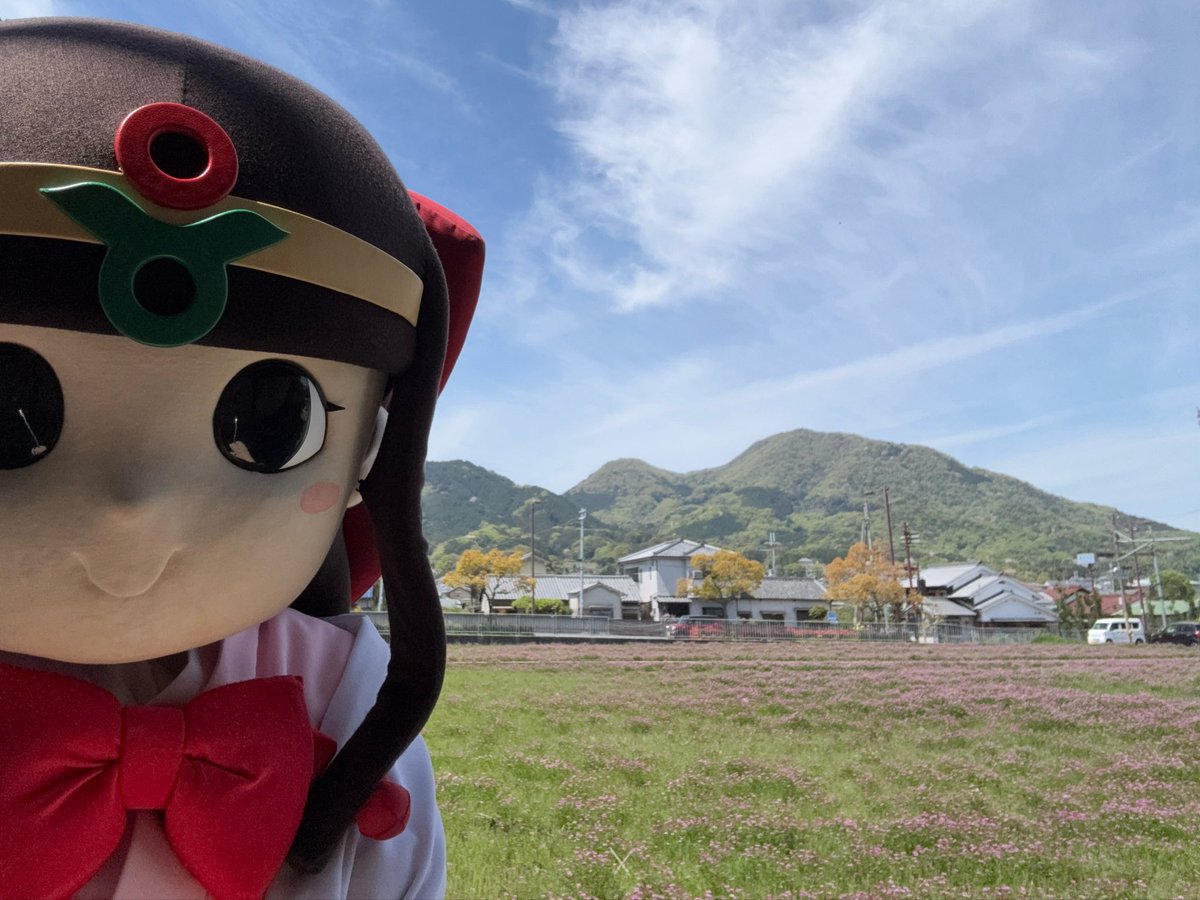 遊花ページ！蓮の実で遊ぶうさちゃんたち！お山の大将と仲間たち！ hq720.jpg?sqp=-