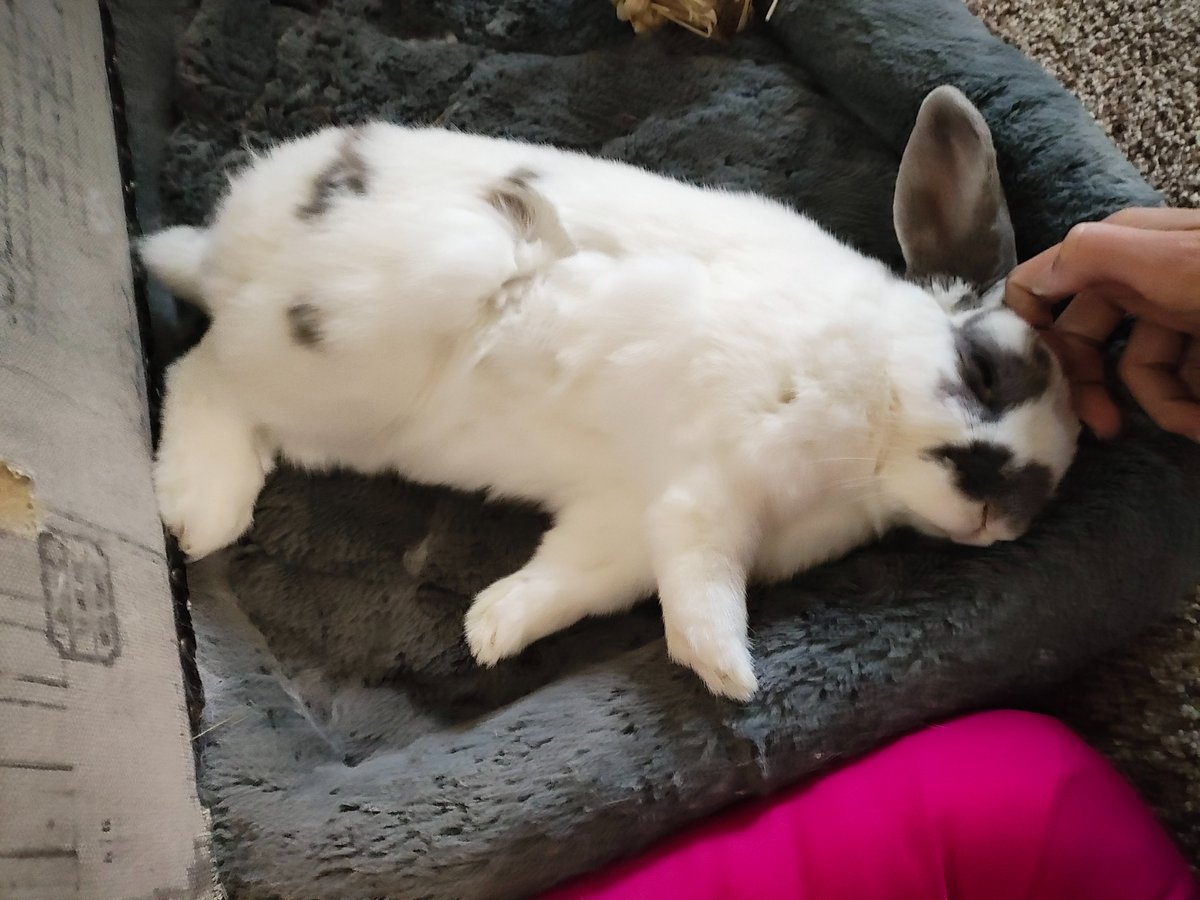 Princess Sephiroth 🍉 tweet media