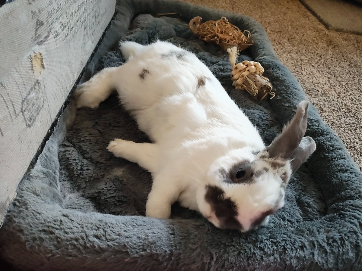 Princess Sephiroth 🍉 tweet media