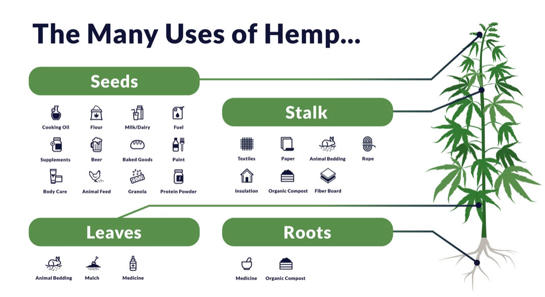 Janna Champagne tweet media