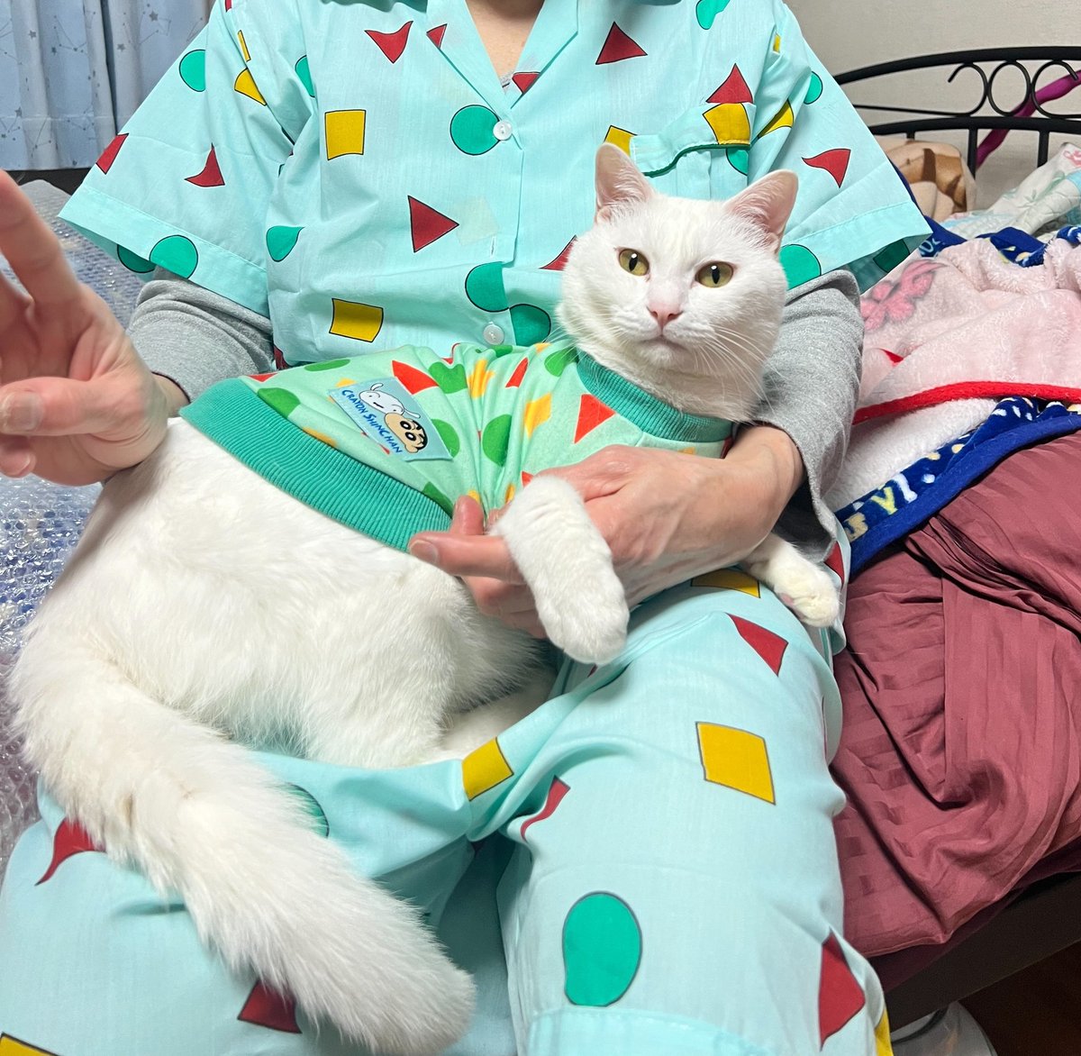 丸山内燃機工業 tweet media