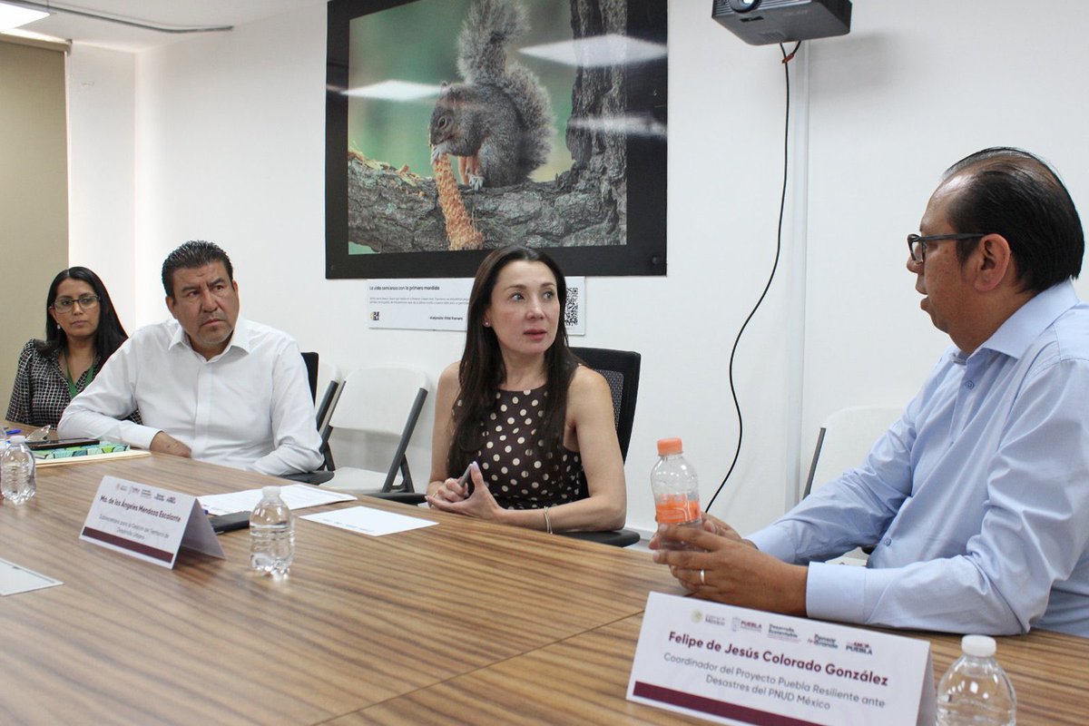 mayraorellana tweet media