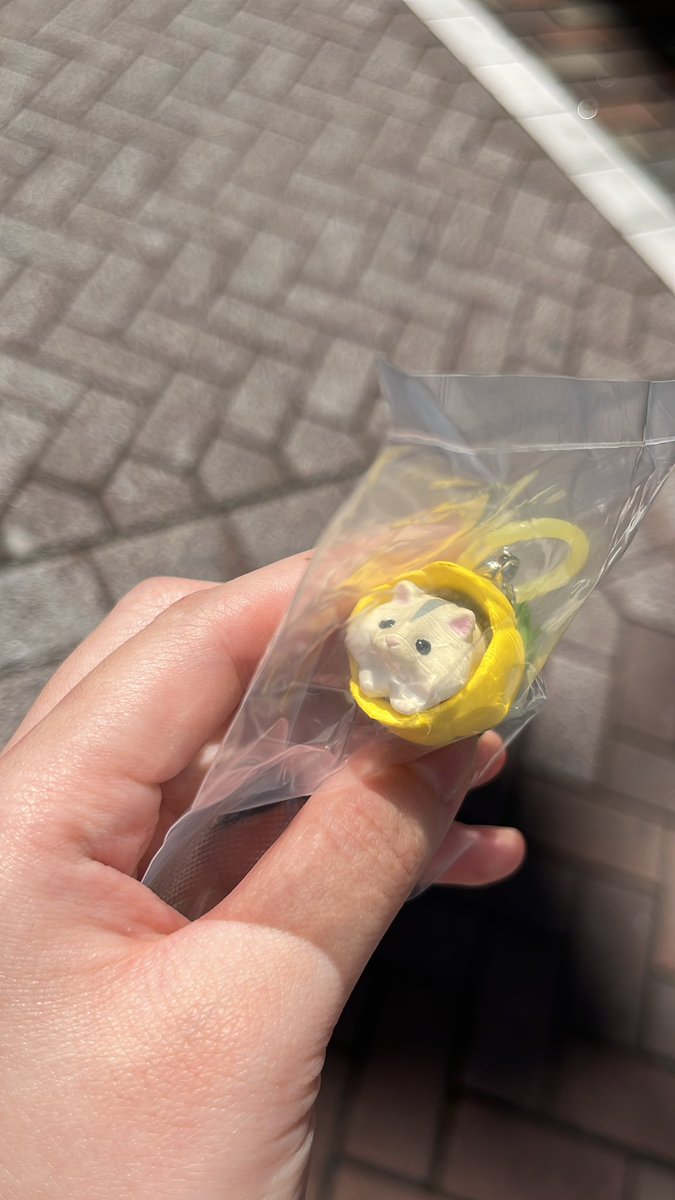 ｱｲﾁｬﾏﾝ❕ tweet media