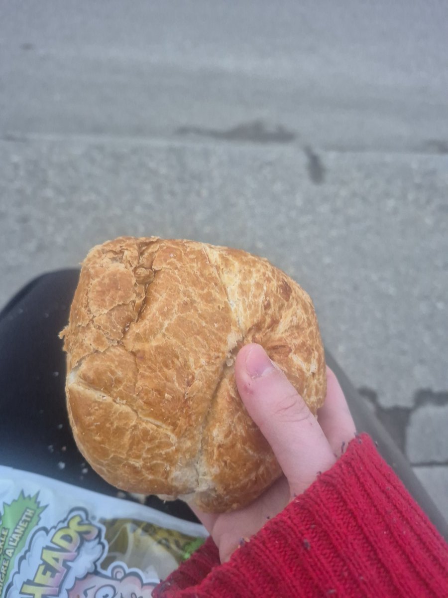 ‧˚꒰🍷꒱༘‧— Hemlock tweet media