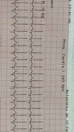 Eu deveria ter feito vet tweet media