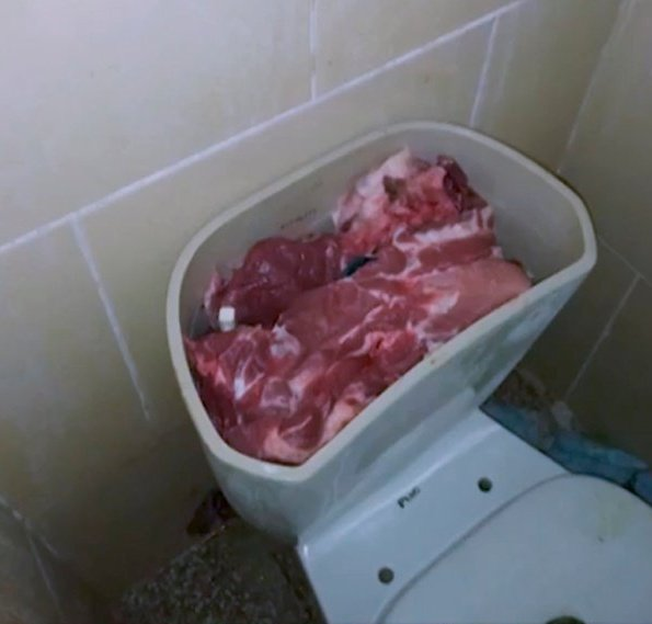 SSC|PKF Nic. tweet media