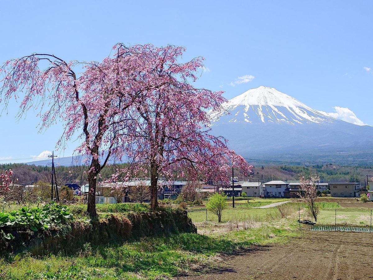 たっちゃん@鳴沢 tweet media