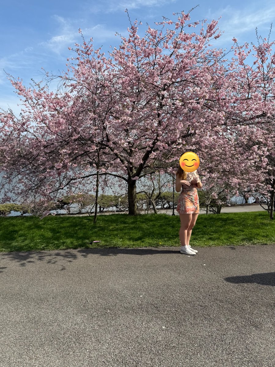 lilypede's tweet photo. Lw again idc if no one gaf lowkey want to end it all anyway 🥰🫰
And to all you fake ass hoes that said dont starve youll lose your ass; fuck you you were wrong https://t.co/tnIPTeJvUG