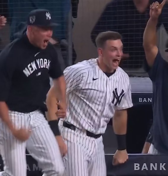 experience the new york yankees