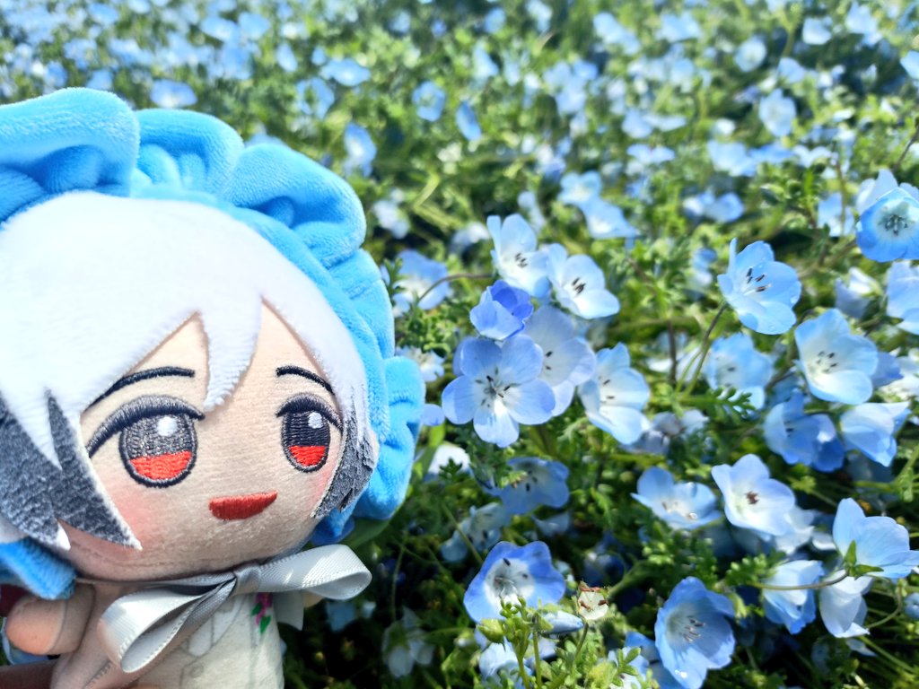 かんさん tweet media