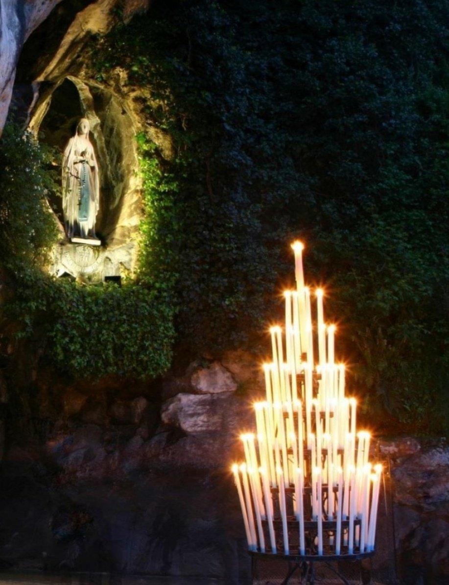 Sr. Veronica Paul tweet media