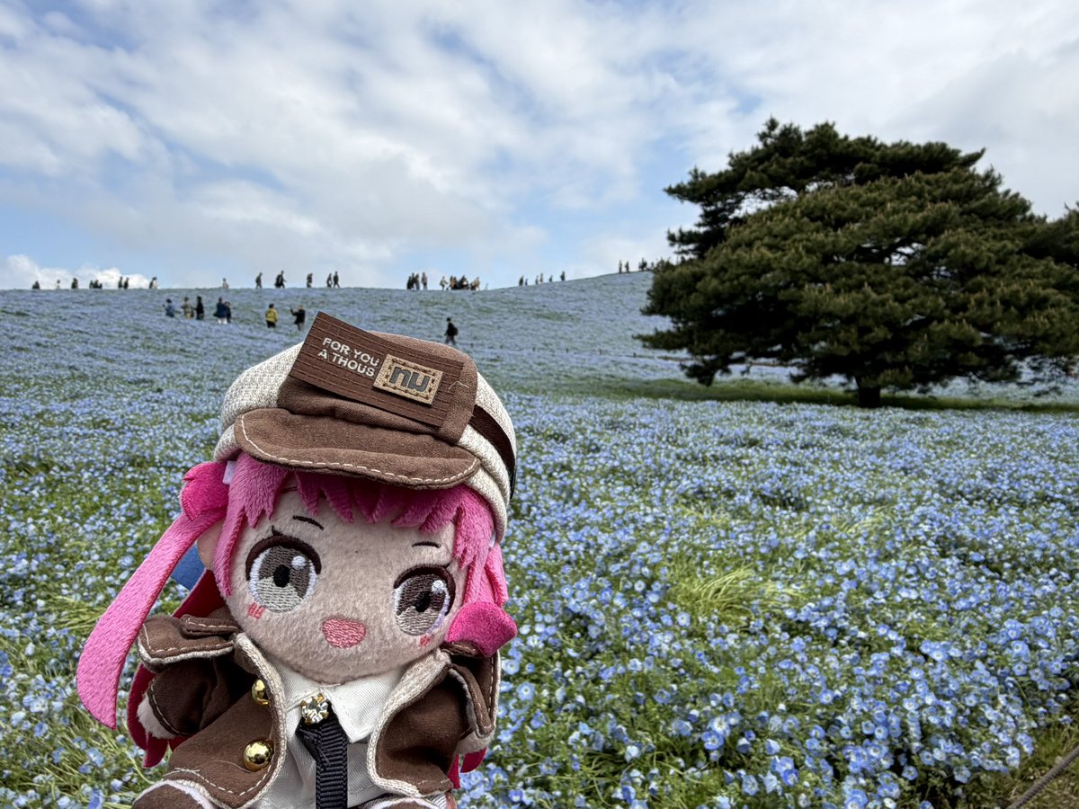 くぼっち。 tweet media