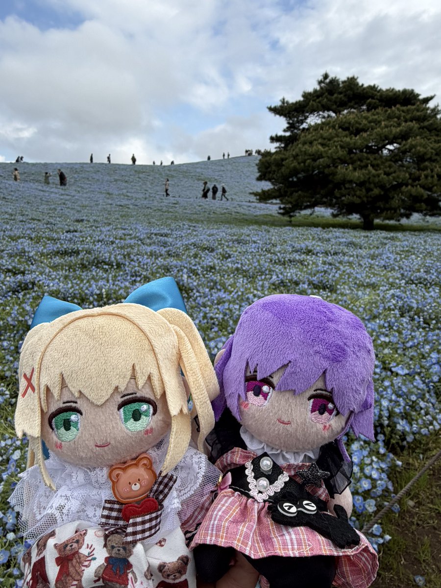 くぼっち。 tweet media