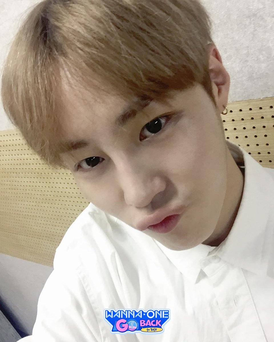 Mnet Plus Original tweet media