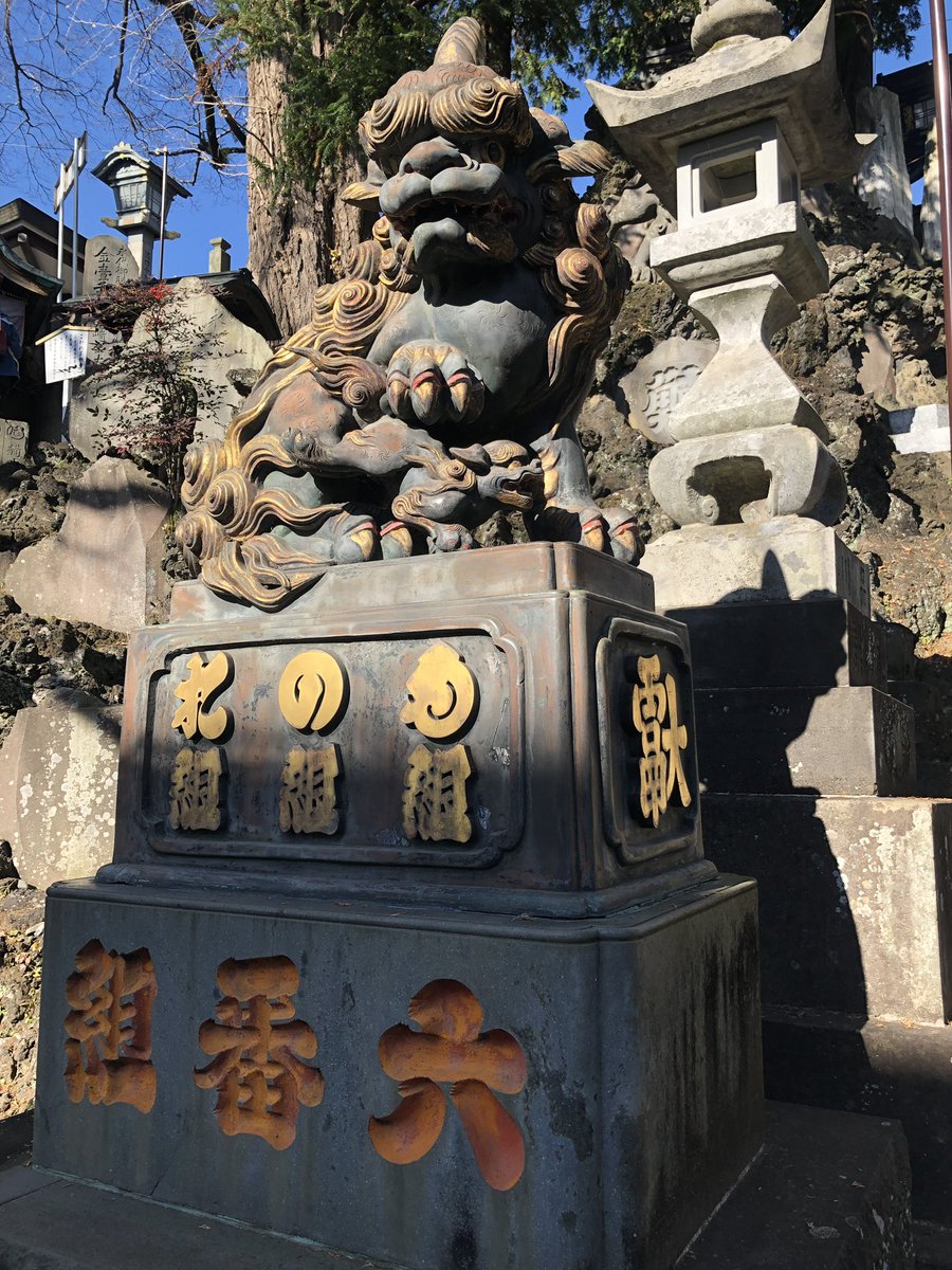 おはようございます🦁