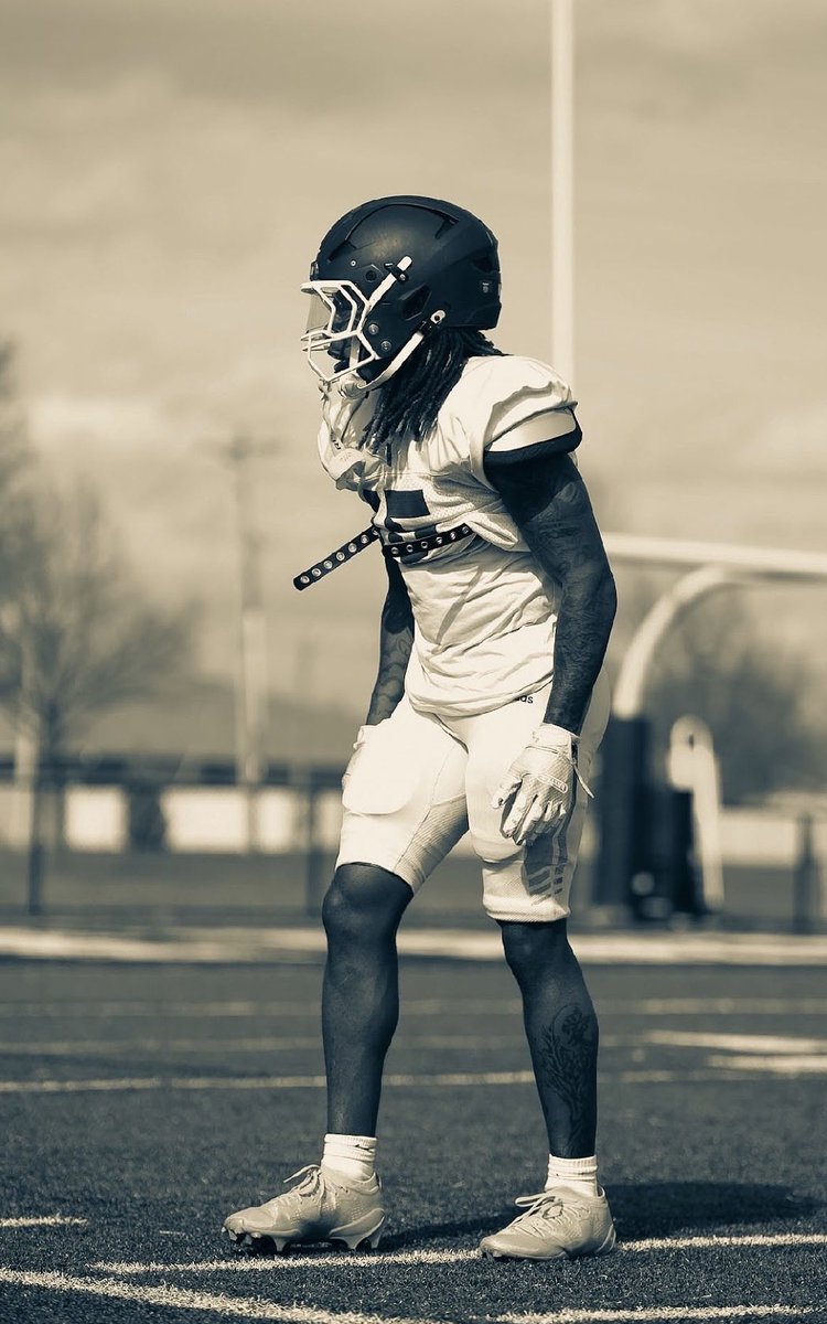 Myles Taylor tweet media