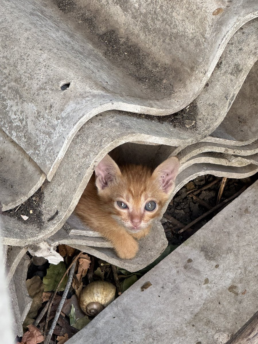 ปรายทางที่ฉันรอน้องแจน 🌻🐈 tweet media