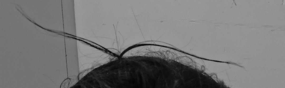 SpeBDbeezknees's tweet image. Post 2 with the tone of #Honor
Nana🖖Nanu #X7