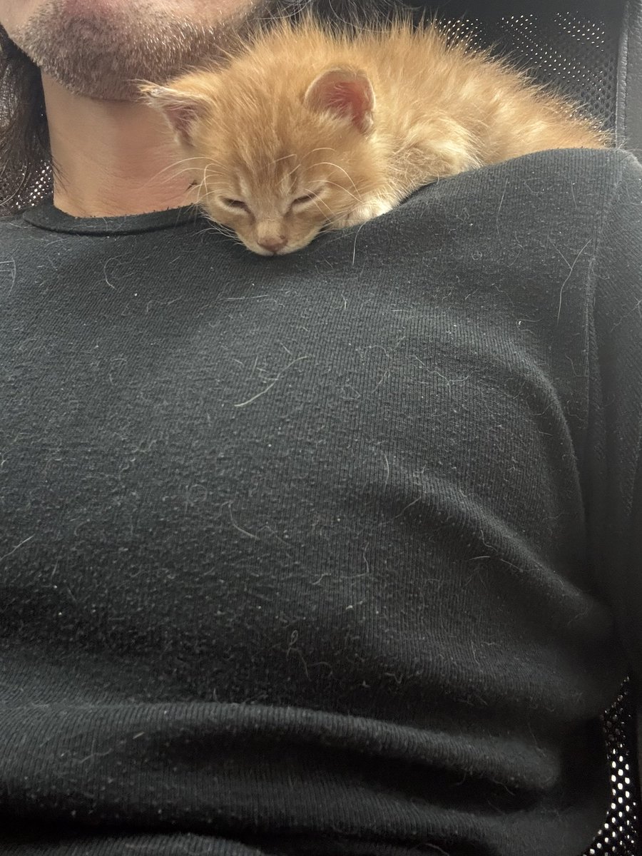 makoto POOL tweet media