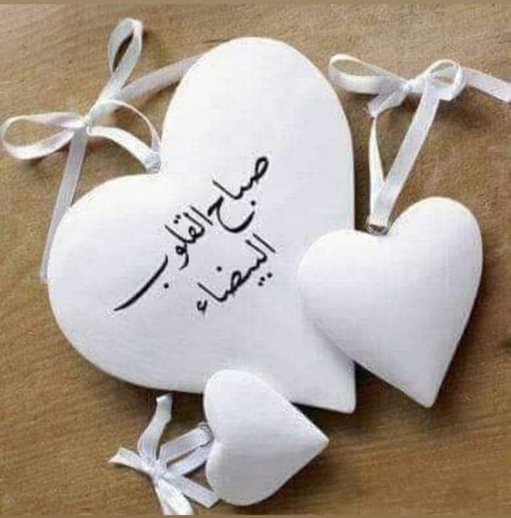 🤍🇸🇦خفايا جروح💚 tweet media