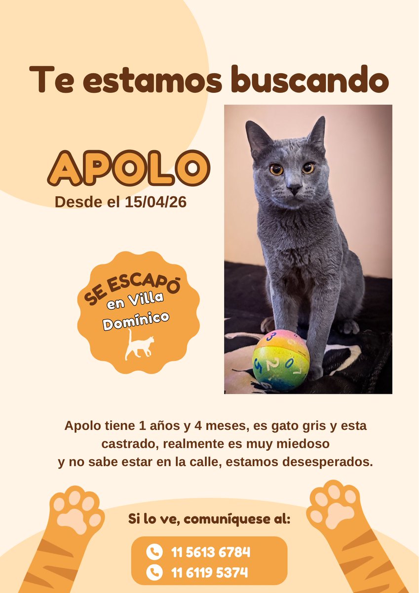 Adrenalinda  tweet media