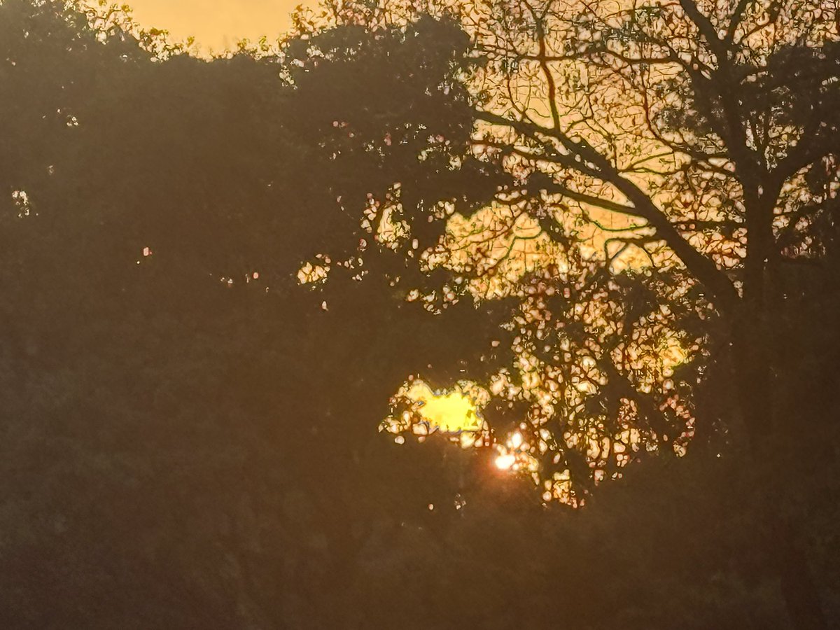 Parneet4294's tweet image. Serving all things gold n golden ..! #Thursday #BringItOn