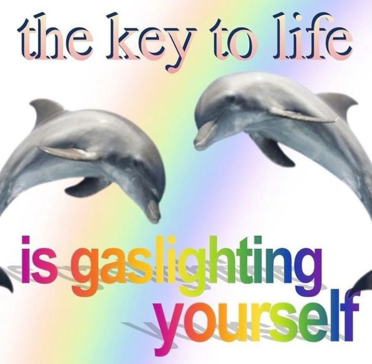 Ikan bersisik dalam tong tweet media