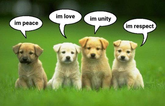 Lea 👽 tweet media