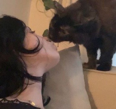 oliv ☆ tweet media