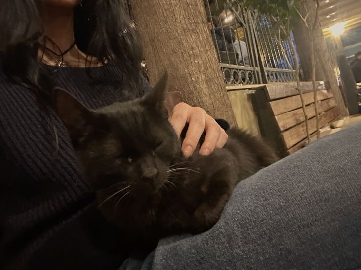 oliv ☆ tweet media