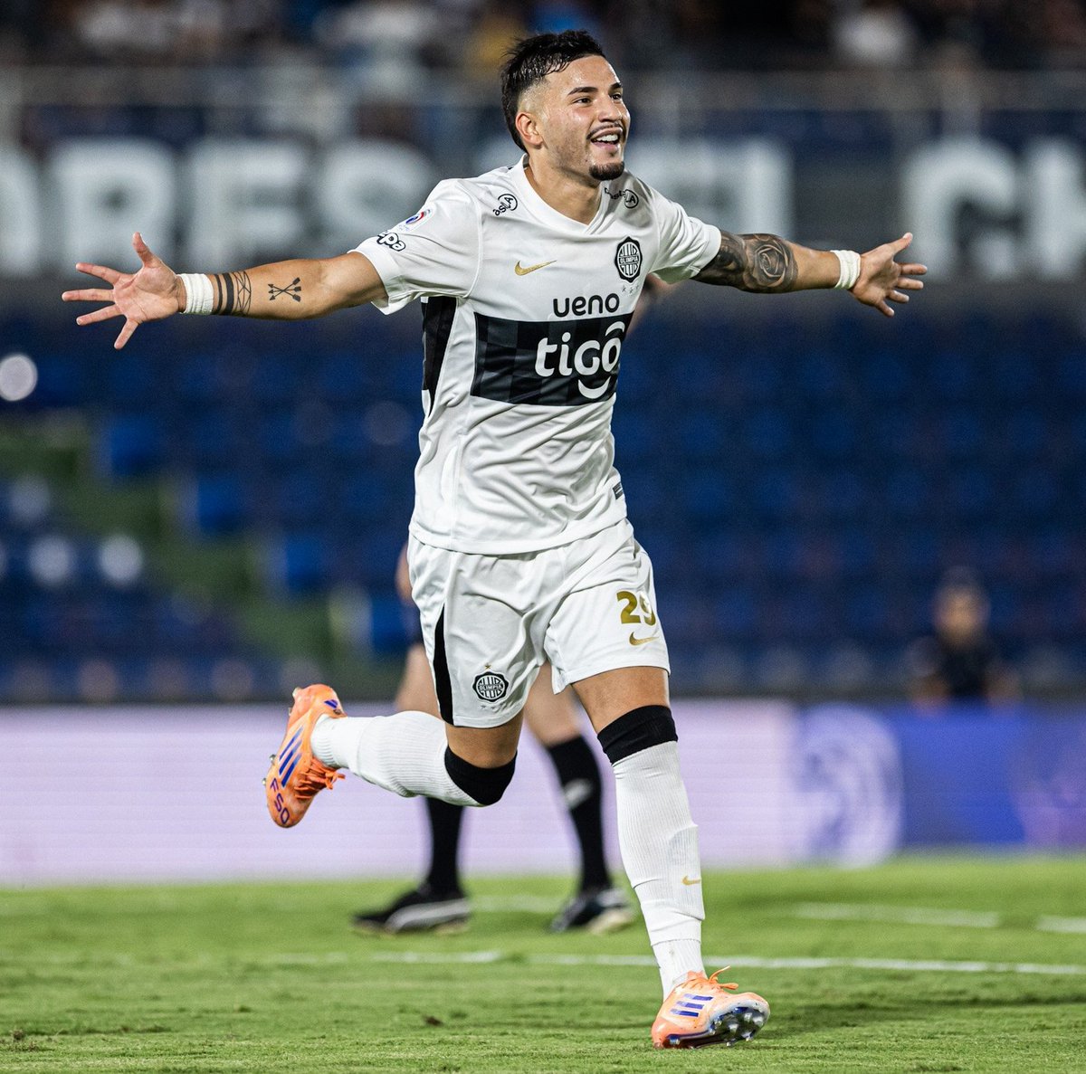 Pollismo tweet media