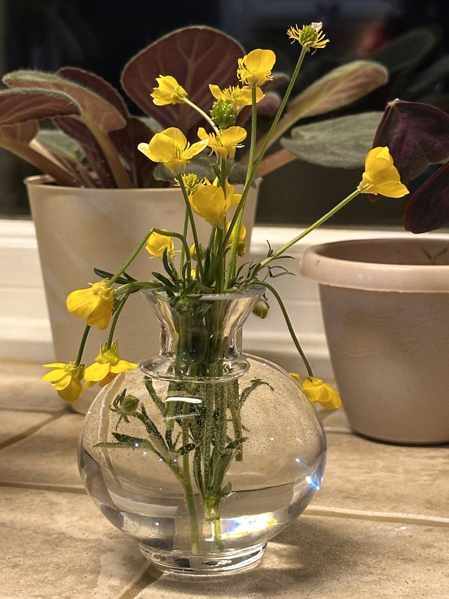 Appalachian Mama tweet media