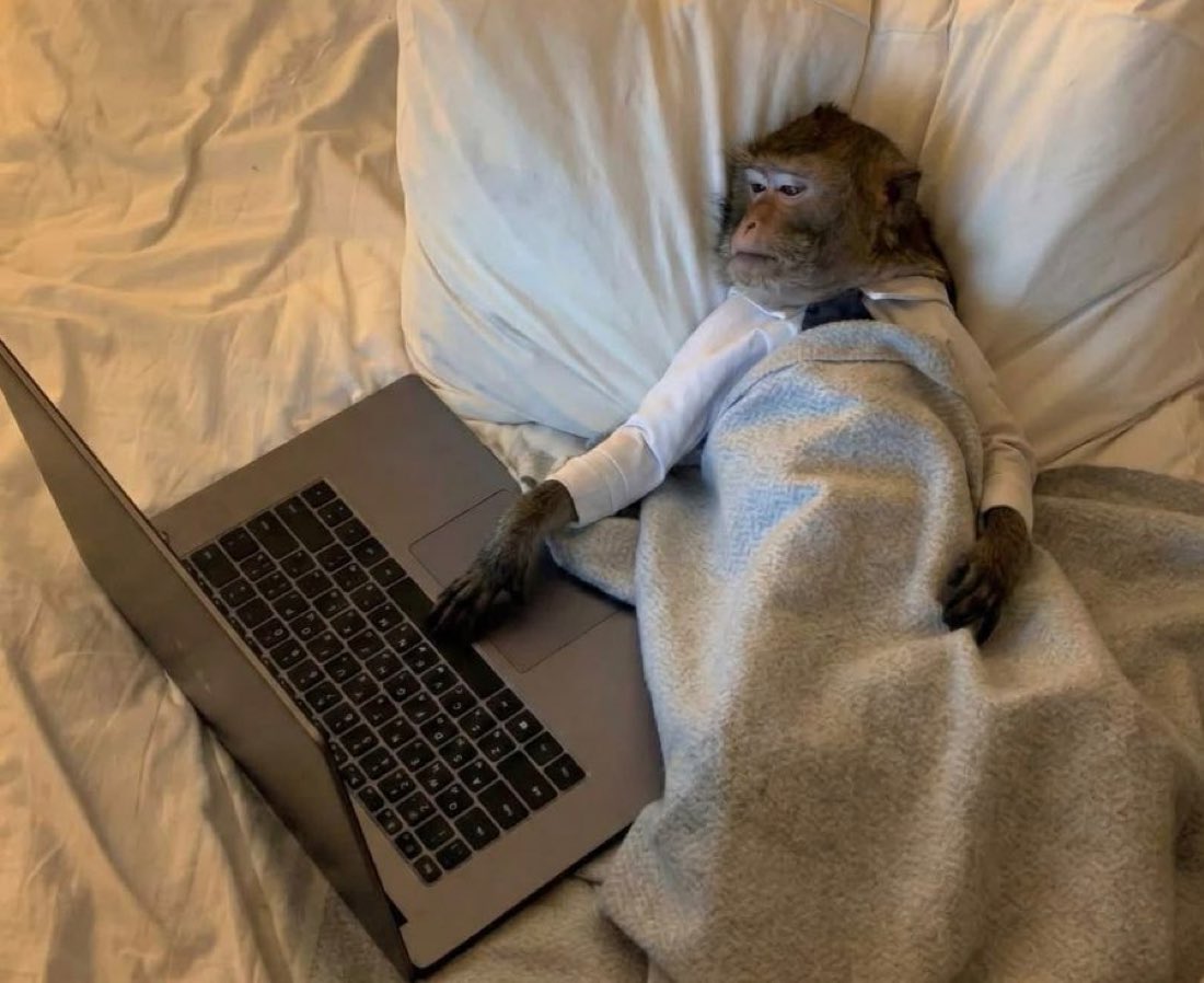 scheduling my lobotomy