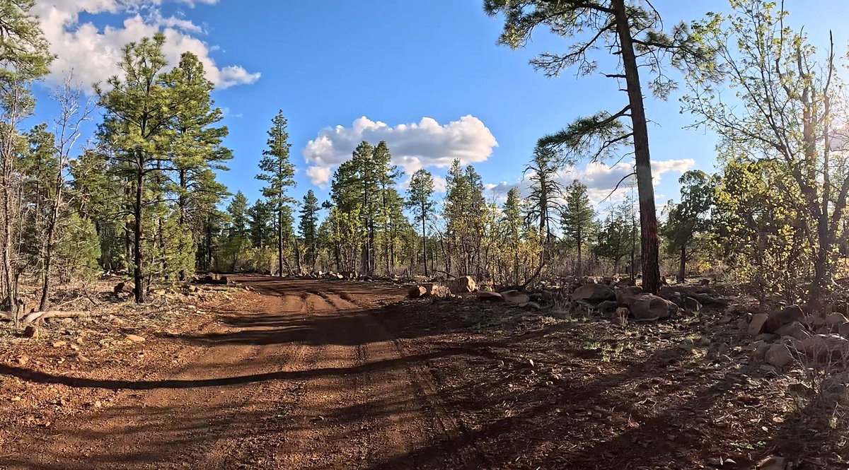 bitfloorsghost tweet media