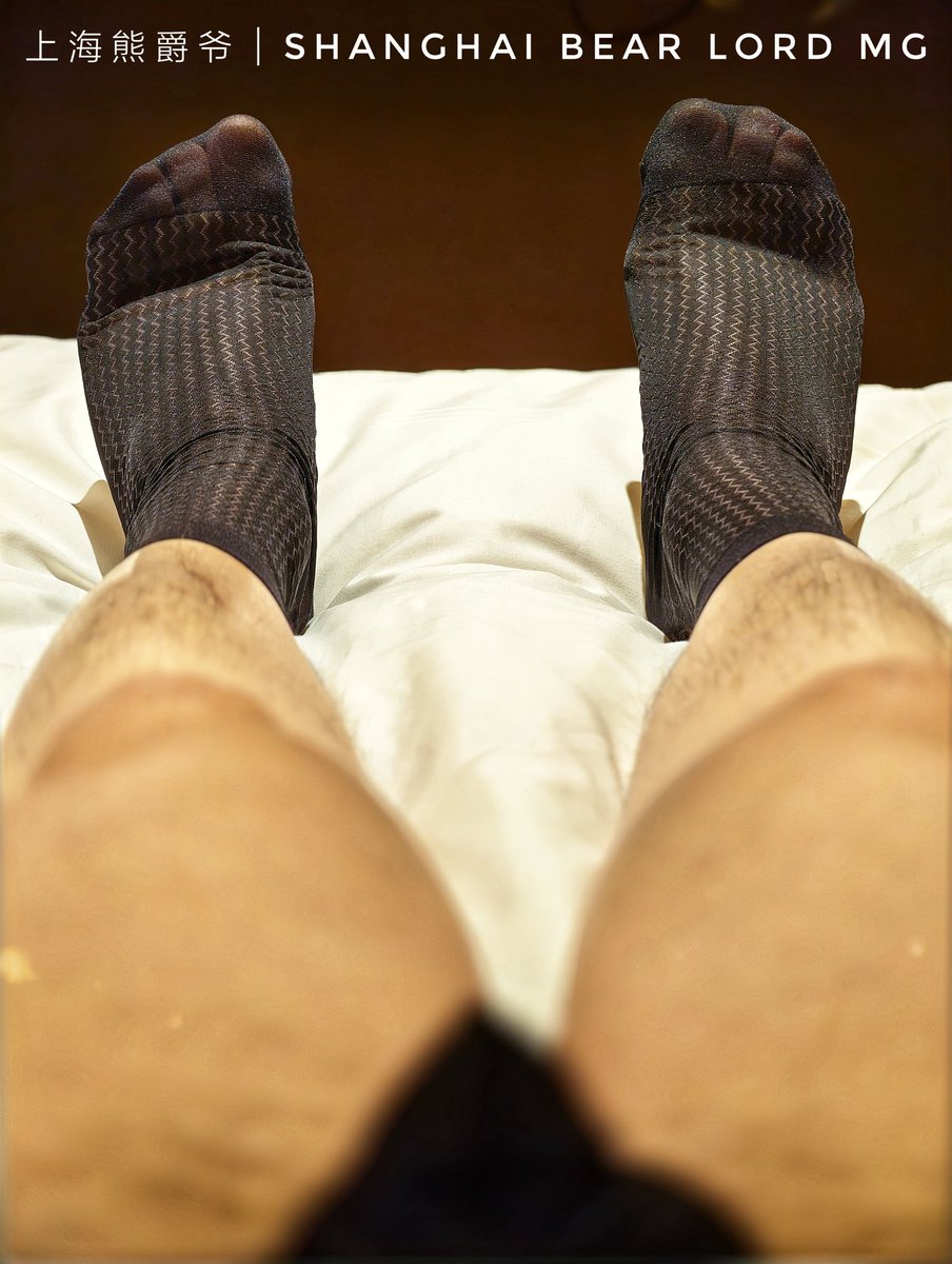 上海老克勒熊 tweet media