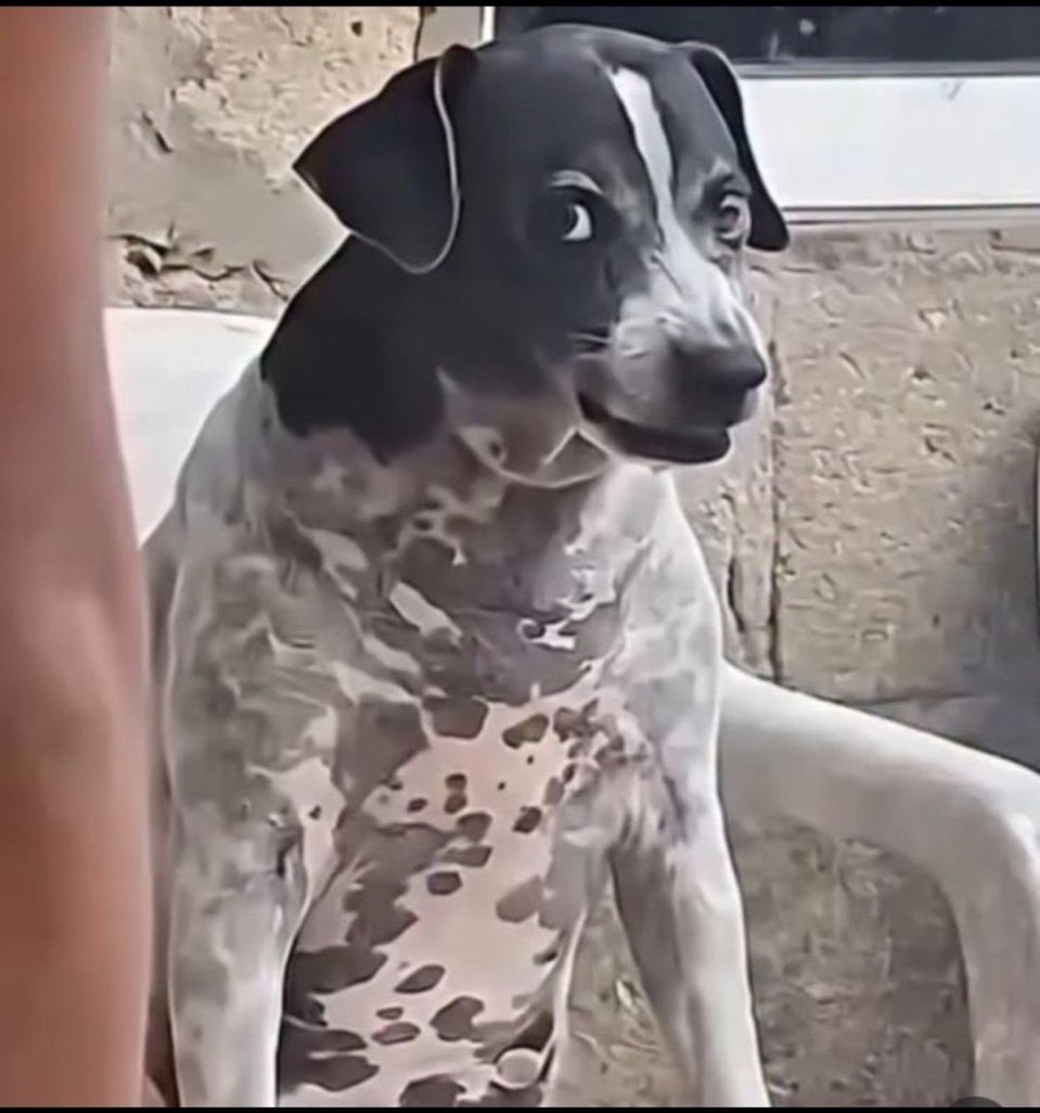 loratadiva da APS tweet media