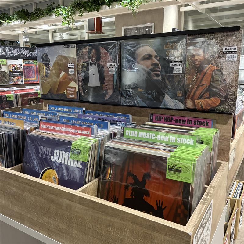 HMVrs_shinjuku's tweet image. おはようございます☀️
本日も11時～21時まで営業してます！

【HMV record shop新宿】4/16(木)中古新入荷
 
本日はJAZZとSOULのLPを約120枚放出！✨初めてのレコードにもぴったり！お手頃価格多数!
 
■出品リストhmv.co.jp/news/article/2…
 
※WEB出品は14時からとなります。

#newarrival #新入荷