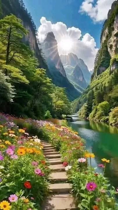 raducu_nicoleta's tweet photo. 🌳🌿🌳Good morning 🌳🌿🌳 https://t.co/ZCfKYre6vs